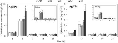 Effect of Ag Nanoparticles on Denitrification and Microbial Community in a Paddy Soil